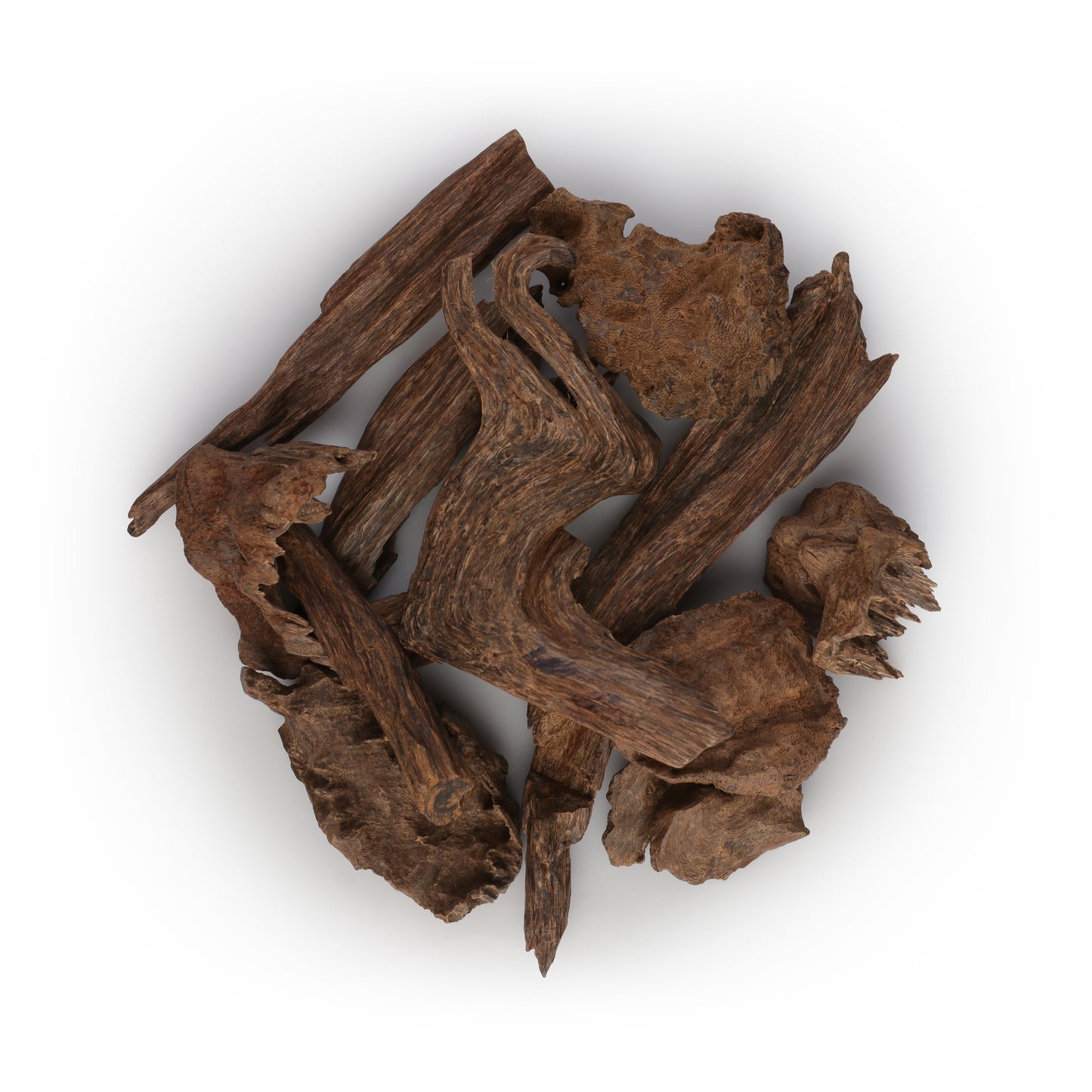 سيلاني دزة (رويال)